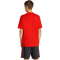 adidas RBFA Belgien DNA Graphic T-Shirt 2026 Herren JZ2220 - red L