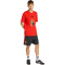 adidas RBFA Belgien DNA Graphic T-Shirt 2026 Herren JZ2220 - red L