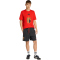adidas RBFA Belgien DNA Graphic T-Shirt 2026 Herren JZ2220 - red L