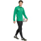 adidas Entrada 26 Trainingsjacke Herren JZ6585 - team green/white XS