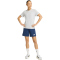 adidas Entrada 26 Trainingsshirt Damen JZ6680 - team light grey/white XXS