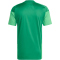 adidas Tiro 26 Competition Trainingstrikot Herren KA7585 - team green 3XL