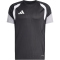 adidas Tiro 26 Competition Trainingstrikot Herren JX4254 - black/light onix/white XS
