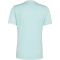 adidas Entrada 26 Trikot Herren KE9838 - halo mint/white M