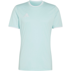 adidas Entrada 26 Trikot Herren KE9838 - halo mint/white XXL