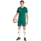 adidas Entrada 26 Trikot Herren KE9832 - team dark green/white M