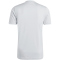 adidas Entrada 26 Trikot Herren JZ2511 - team light grey/white XS
