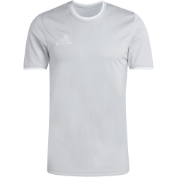 adidas Entrada 26 Trikot Herren JZ2511 - team light grey/white M