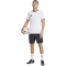 adidas Entrada 26 Trikot Herren JZ2508 - white/black XS