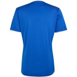 adidas Entrada 26 Trikot Herren JZ2506 - team royal blue/white M
