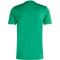 adidas Entrada 26 Trikot Herren JZ2503 - team green/white S