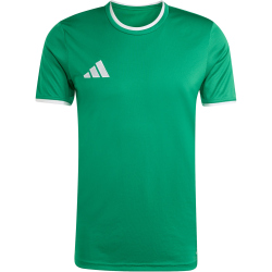 adidas Entrada 26 Trikot Herren JZ2503 - team green/white M