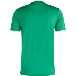 adidas Entrada 26 Trikot Herren JZ2503 - team green/white XL