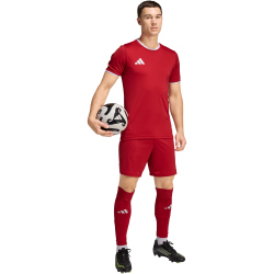 adidas Entrada 26 Trikot Herren JZ2501 - team power red 2/white M