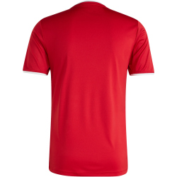 adidas Entrada 26 Trikot Herren JZ2501 - team power red 2/white M