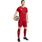 adidas Entrada 26 Trikot Herren JZ2501 - team power red 2/white M