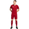 adidas Entrada 26 Trikot Herren JZ2501 - team power red 2/white XL