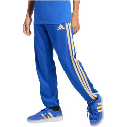 adidas FIGC Italien DNA Trainingshose 2026 Kinder JY9515...