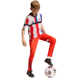 adidas FC Bayern München Aufwärmshirt 2025/26...