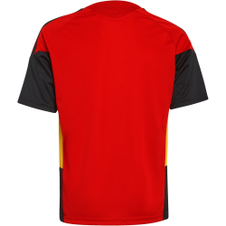 adidas RBFA Belgien Tiro Trainingstrikot 2026 Kinder...