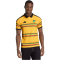 adidas JFF Jamaika Heimtrikot 2026 Herren KD0959 - bold gold S
