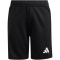 adidas Tierro 26 Torwartshorts Kinder KF5962 - black 116