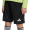 adidas Tierro 26 Torwartshorts Kinder KF5962 - black 116