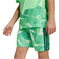 adidas Tiro 26 Competition kurzarm Torwarttrikot Kinder KC5360 - lime burst 128