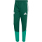 adidas FAF Algerien Präsentationshose 2026 Herren JZ0213 - team dark green XS