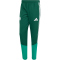 adidas FAF Algerien Präsentationshose 2026 Herren JZ0213 - team dark green XS