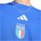adidas FIGC Italien DNA Graphic T-Shirt 2026 Herren JZ2067 - bold blue S