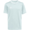 adidas Entrada 26 Trikot Kinder KE9844 - halo mint/white 116