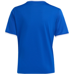 adidas Entrada 26 Trikot Kinder JZ2531 - team royal blue/white 116