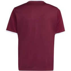 adidas Entrada 26 Trikot Kinder JZ2530 - team maroon 2/white 104