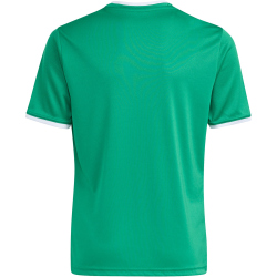 adidas Entrada 26 Trikot Kinder JZ2528 - team green/white 116