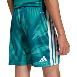 adidas DFB Deutschland Heim Torwartshorts 2026 Kinder...