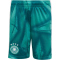 adidas DFB Deutschland Heim Torwartshorts 2026 Kinder KD5119 - active green 176