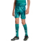 adidas DFB Deutschland Heim Torwartshorts 2026 Kinder KD5119 - active green 176