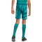 adidas DFB Deutschland Heim Torwartshorts 2026 Kinder KD5119 - active green 176