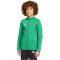 adidas Entrada 26 Trainingsjacke Kinder JZ6613 - team green/white 116