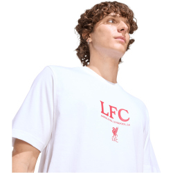 adidas FC Liverpool Seasonal Graphic T-Shirt 2025/26 Herren KD9068 - white M