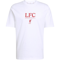 adidas FC Liverpool Seasonal Graphic T-Shirt 2025/26...