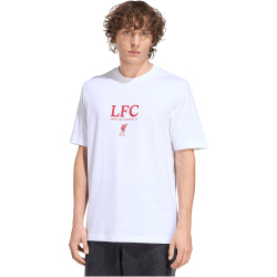 adidas FC Liverpool Seasonal Graphic T-Shirt 2025/26...