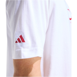 adidas FC Liverpool Seasonal Graphic T-Shirt 2025/26...