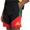 adidas JFF Jamaika Tiro Downtime Sweatshorts 2026 Herren KB3361 - black M
