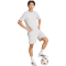 adidas Entrada 26 Trainingsshirt Herren JZ6677 - team light grey/white XS