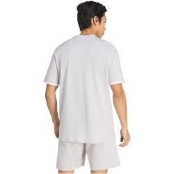 adidas Entrada 26 Trainingsshirt Herren JZ6677 - team light grey/white M