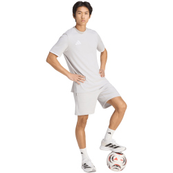 adidas Entrada 26 Trainingsshirt Herren JZ6677 - team light grey/white M