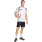 adidas Tiro 26 Competition Trainingsshorts Herren KA7643 - black/white S