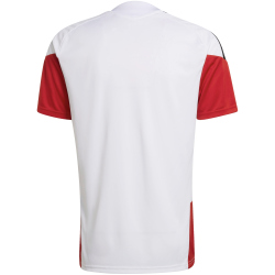 adidas DFB Deutschland Tiro Trainingstrikot 2026 Herren...